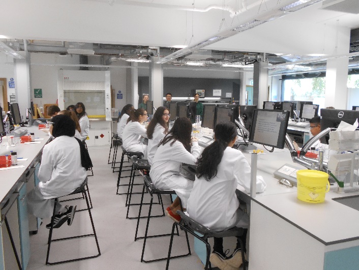 Students undertaking urine analysis in the SuperLab